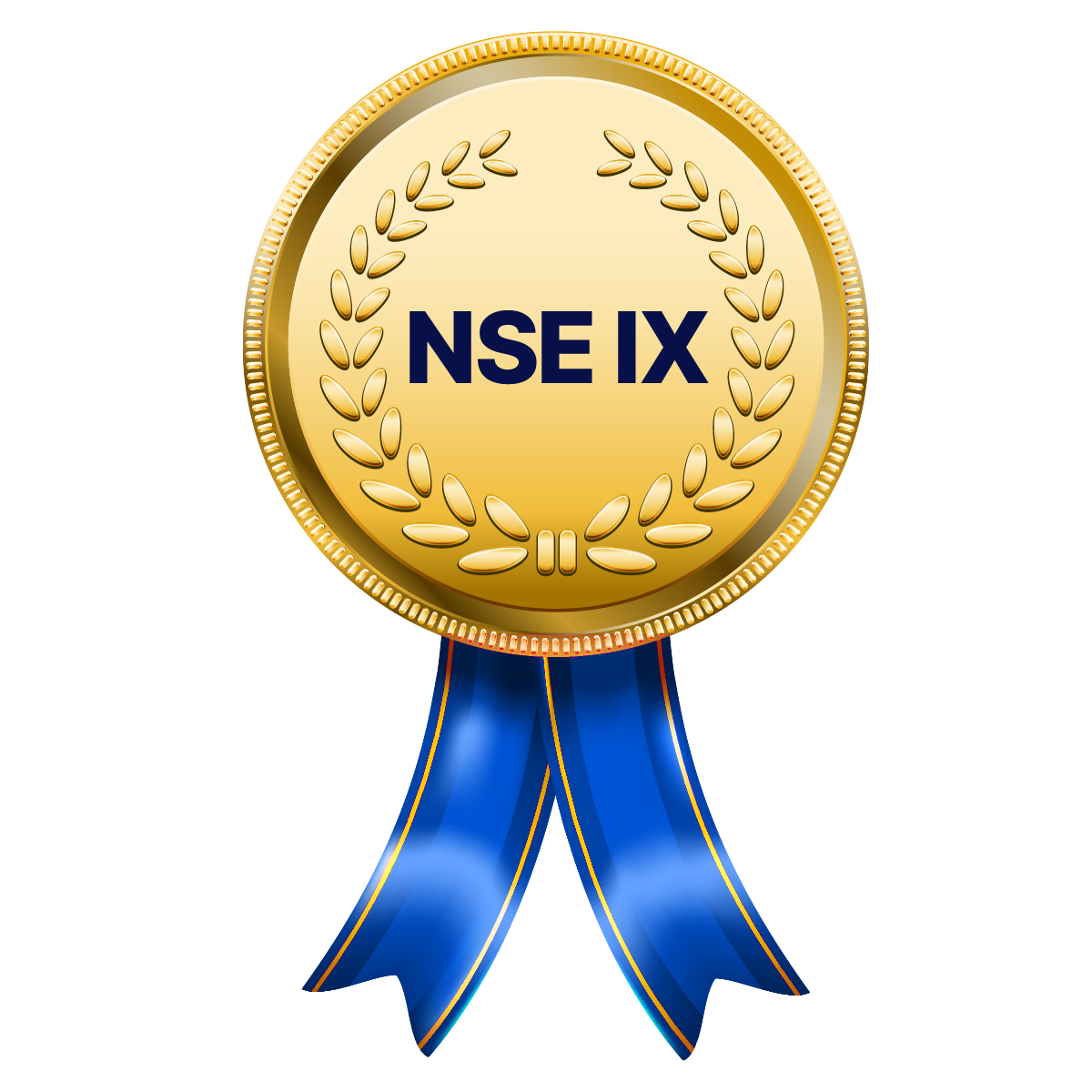NSE IX Medal