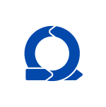 custom software development